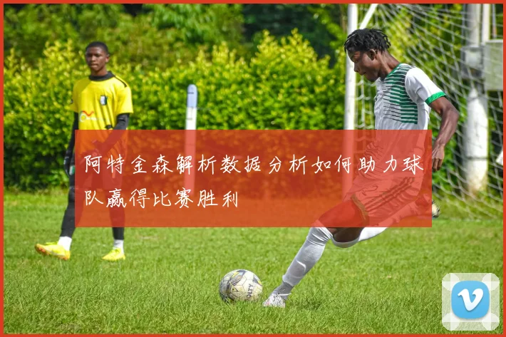 阿特金森解析数据分析如何助力球队赢得比赛胜利